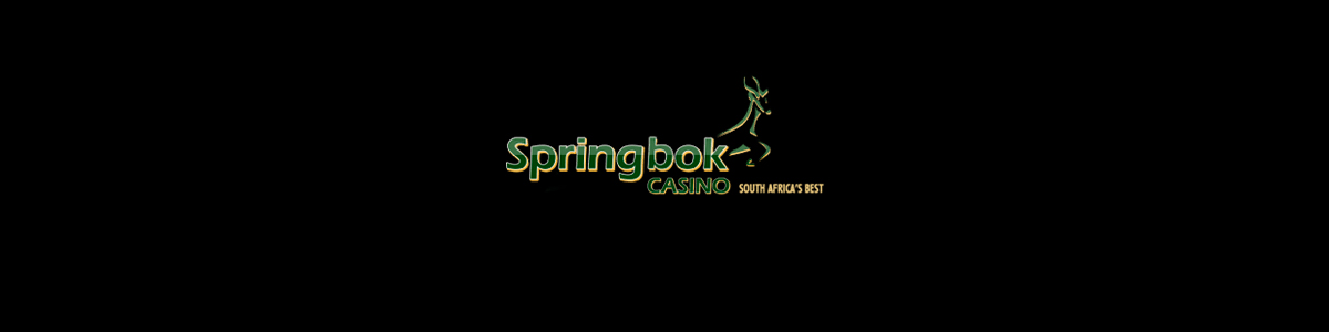 springbok banner